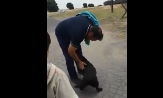 El reencuentro de Carola, la perrita que vivía en una fábrica cerrada en Azul y uno de los obreros que fueron despedidos | Actualidad