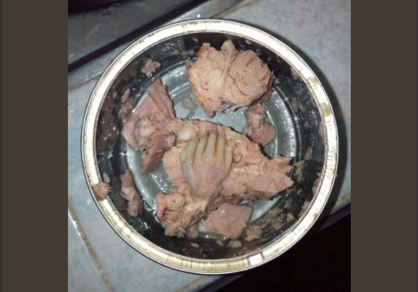 Asombro en las redes por el repugnante hallazgo de este usuario en una lata de atún | Redes