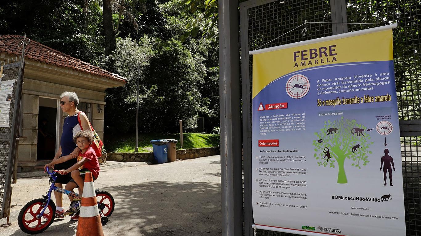 Médicos del Mundo advierte una posible "reaparición" de la fiebre amarilla en Argentina | Actualidad