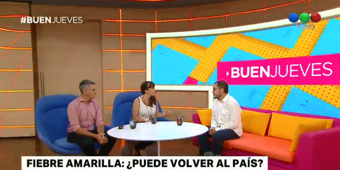 Fiebre amarilla: ¿puede volver al país? | Actualidad
