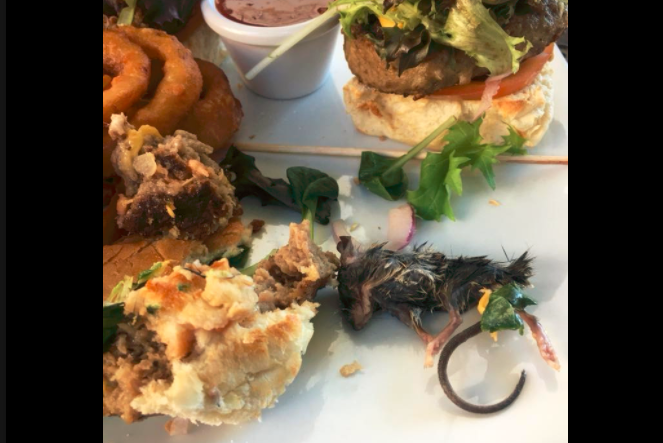 Un hombre denunció que encontró un ratón muerto en su hamburguesa | Redes