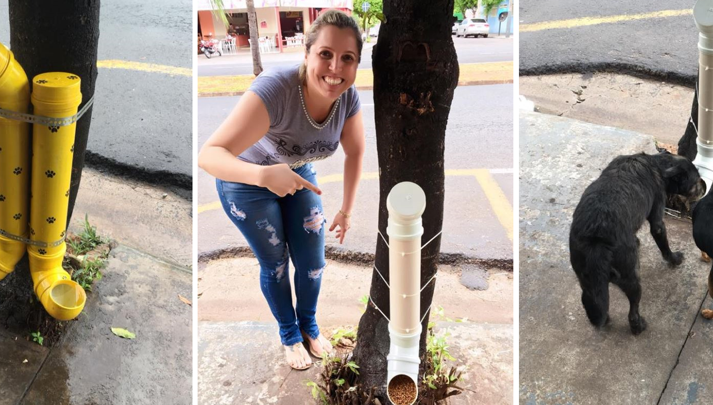 El ingenioso invento para alimentar a perros de la calle que se volvió mega viral | Redes