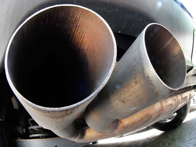 Polémica en Alemania: automotrices probaban sus caños de escape con humanos y monos | Internacionales