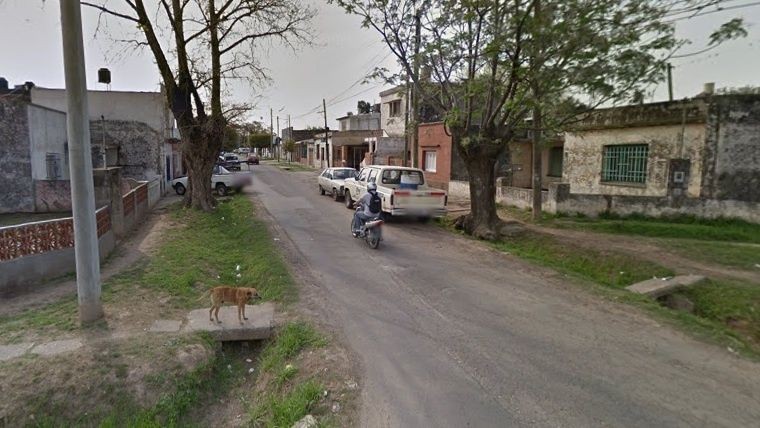 Mató a machetazos al pitbull de un vecino porque había matado a su caniche toy | Actualidad