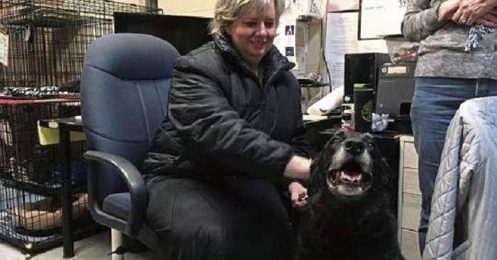 Perdió a su perra, creyó que había muerto y 10 años después se reencontró con ella | Internacionales