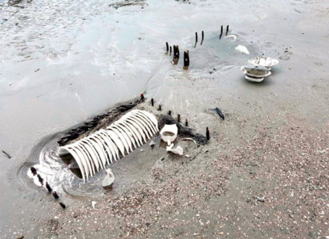 Encontraron restos de un naufragio en Tierra del Fuego: aparecen cientos de tazas y platos en la costa | Actualidad