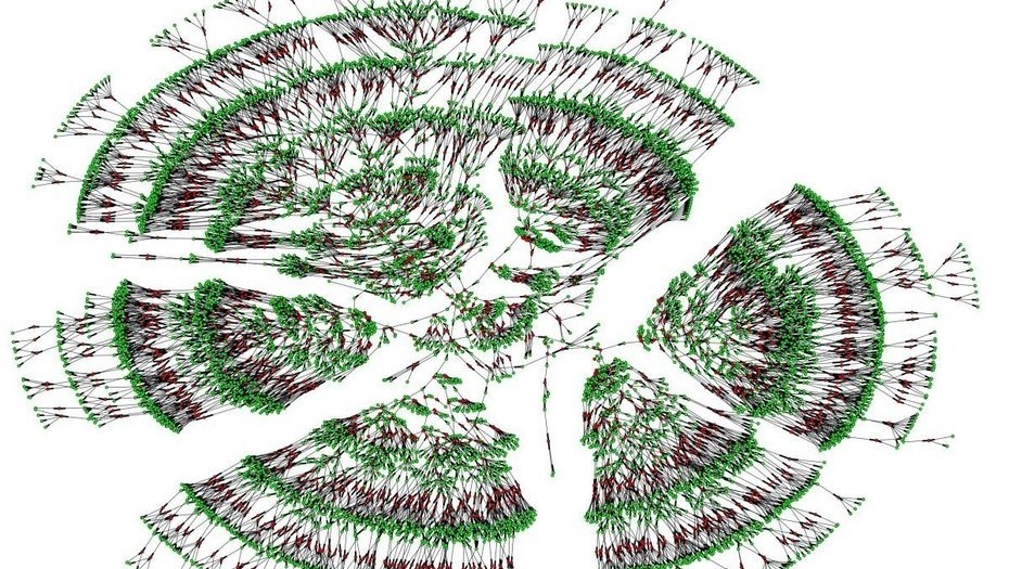Crean el mayor árbol genealógico de la humanidad | Curiosidades