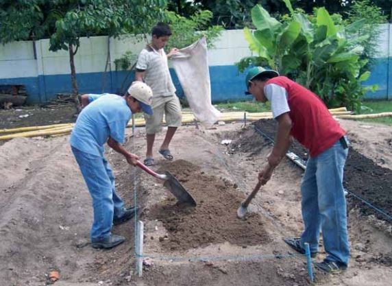 Las huertas escolares educan para el equilibrio alimentario | Actualidad