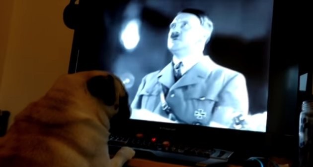 Condenaron a un youtuber por enseñarle el saludo nazi al perro | Redes