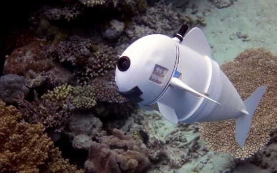 Un pez robótico realiza investigaciones en el fondo del mar | Tecno
