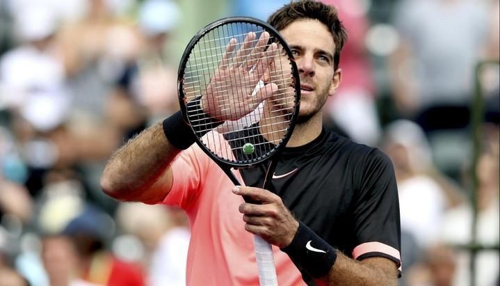Del Potro quedó a tres partidos de ser el número 3 del mundo | Deportes