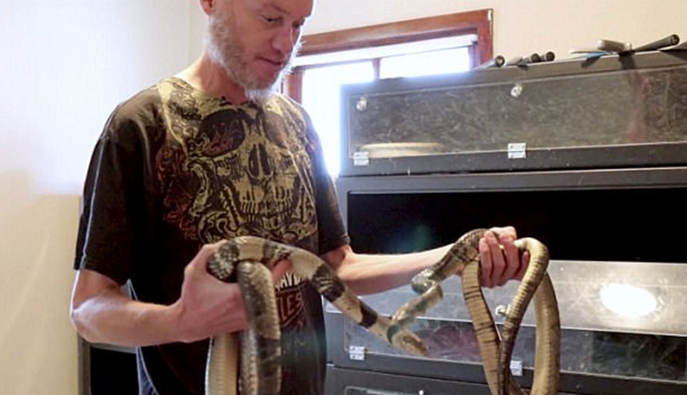 Video escalofriante: un científico se dejó morder por una serpiente muy venenosa y el resultado sorprendió a todos | Internacionales