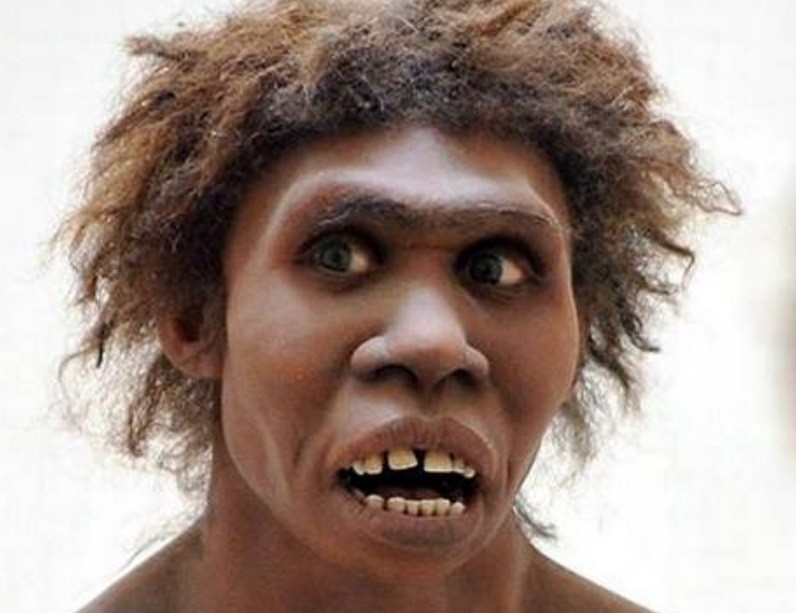 Según estudio, neandertales se adaptaron mejor al entorno gracias a su "fealdad" | Internacionales