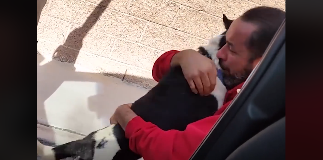 Este hombre hace emocionar a todos al reencontrarse con su perro perdido | Redes