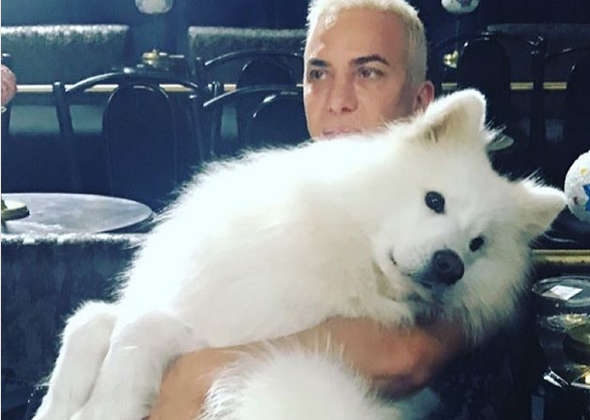 La tristeza de Flavio Mendoza por la muerte de su perro | Espectáculos