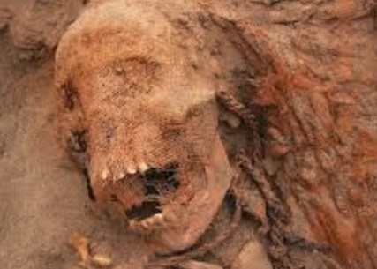 Descubrieron en Perú los restos del mayor sacrificio de niños del mundo | Internacionales