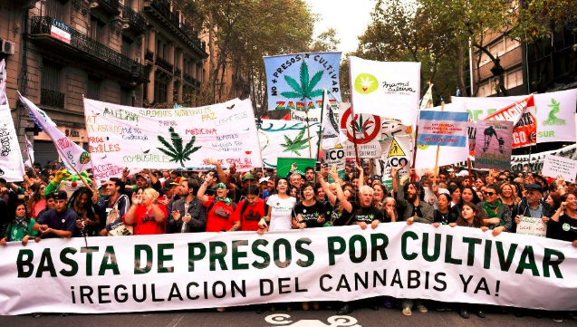Miles de personas marcharon por despenalización del  autocultivo de cannabis | Actualidad