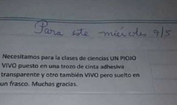 La desagradable tarea que una maestra les dio a sus alumnos de jardín | Actualidad