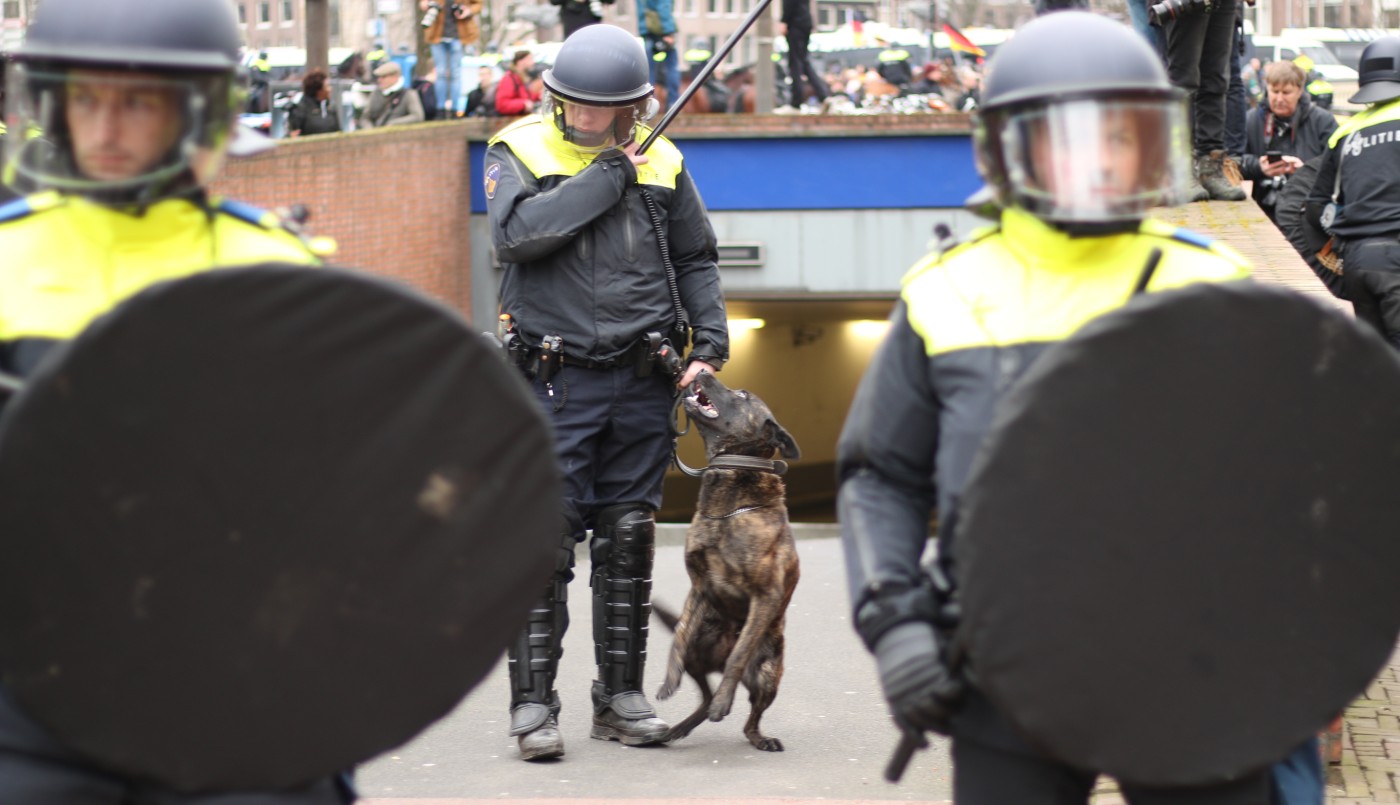 Perros entrenados contra los violadores | Internacionales
