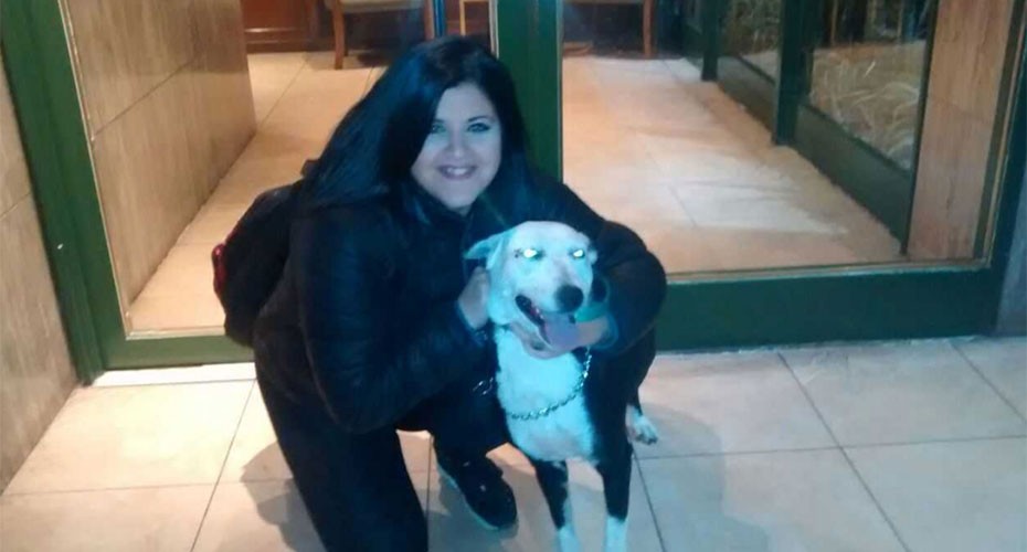 Sufrió ataque de epilepsia y la salvó una perra callejera: ahora le busca hogar | Actualidad