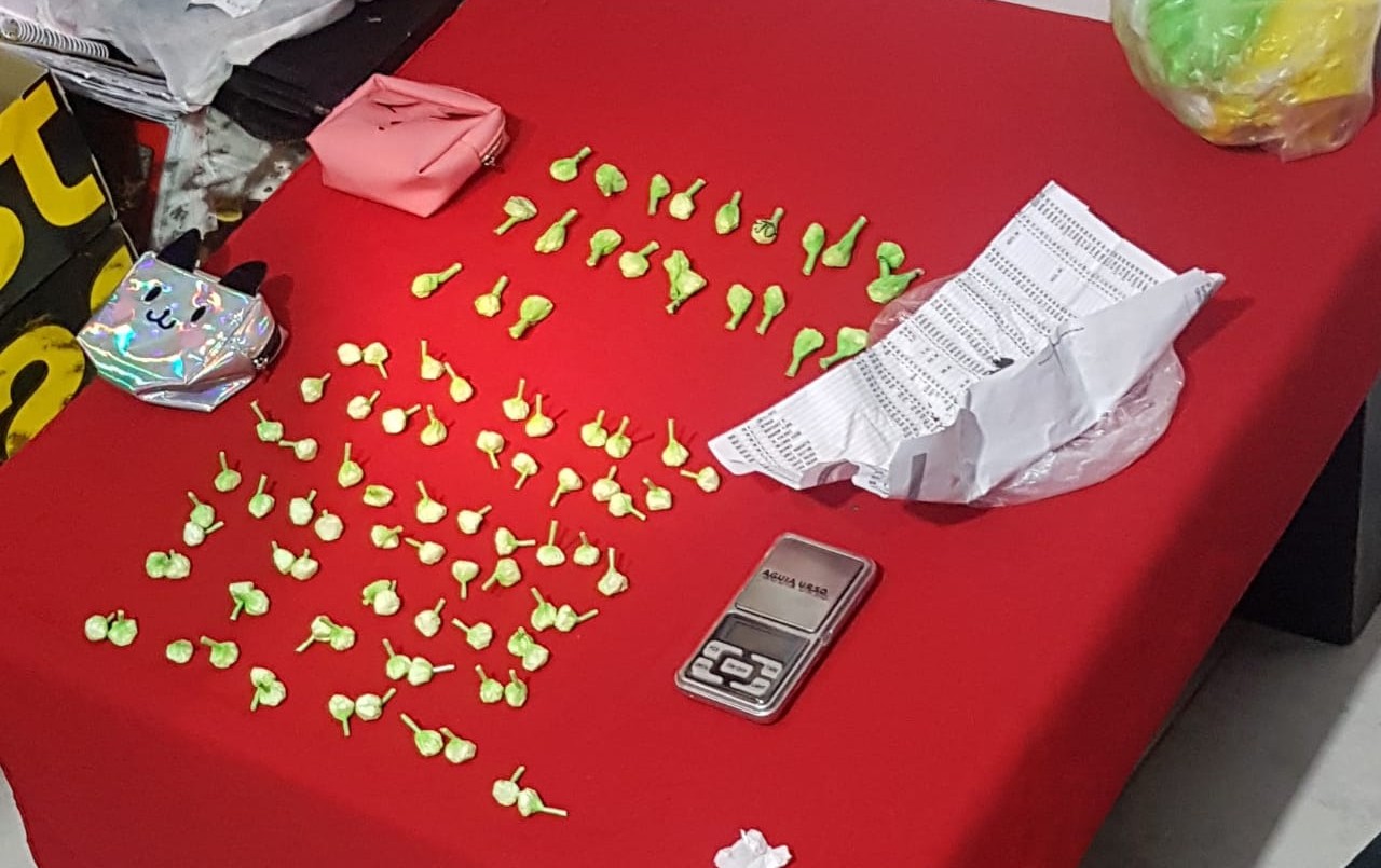"Operación Ceviche": desarticularon a una banda que traficaba cocaína desde Bolivia | Actualidad