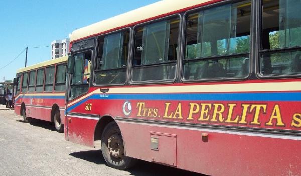 Otro ataque a un colectivero: tuvo que cambiar el recorrido y un pasajero le tiró un piedrazo | Actualidad