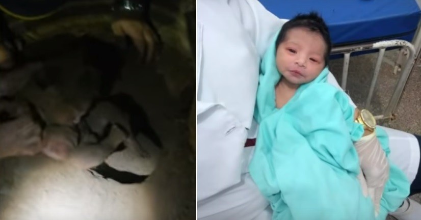 Estremecedor video: rescatan a recién nacida que sobrevivió seis horas enterrada | Internacionales