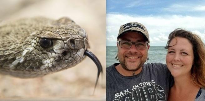 Decapitó una serpiente, pero lo ataco igual y casi muere por el veneno | Curiosidades