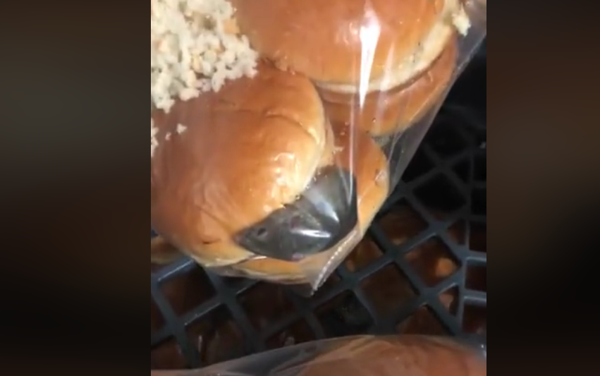 ¡No coman aquí!": denunció que encontró un ratón vivo en el restaurante donde trabaja | Redes