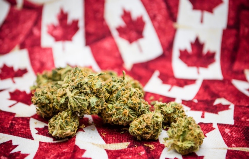 Canadá será el primer país del G7 en liberar el consumo recreativo de marihuana | Internacionales