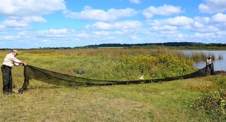 Plan canje y ahorro en Laguna de los Padres: el que corta el pasto se lo lleva | Actualidad