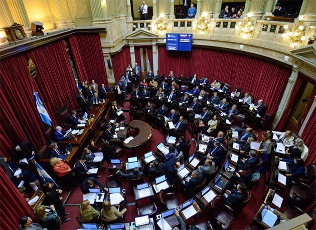 Aborto: empieza el debate en las comisiones del Senado | Actualidad