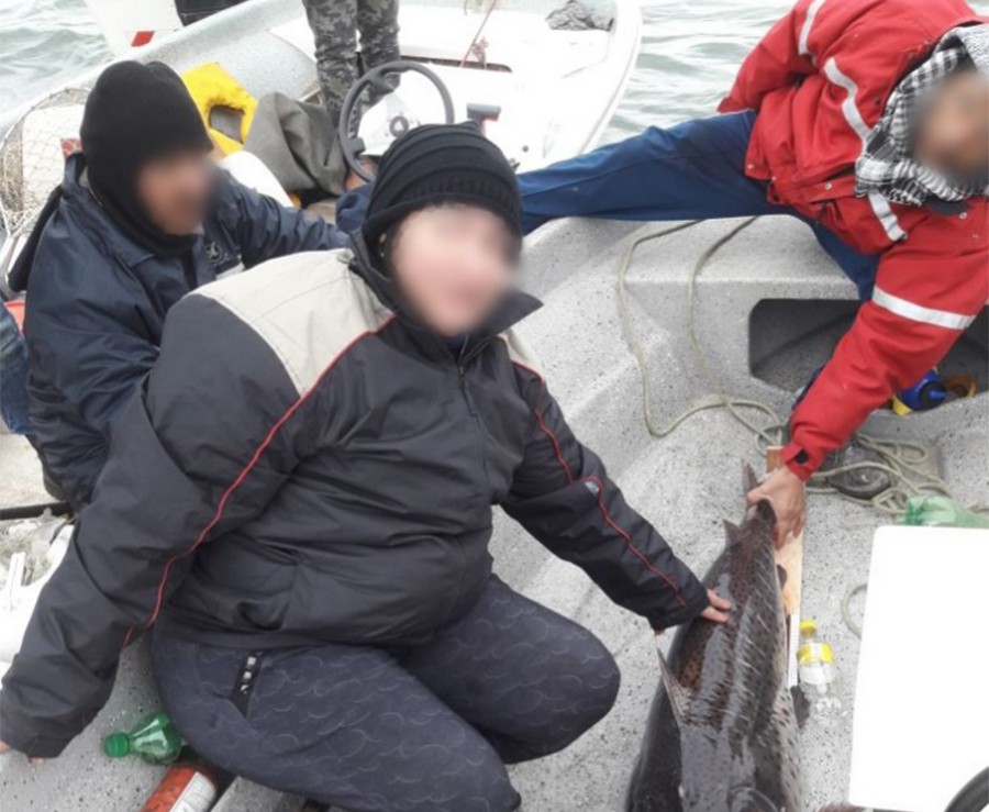 Insólito: ganó un concurso de pesca, pero descubrieron que había atado el pez en la lancha | Actualidad