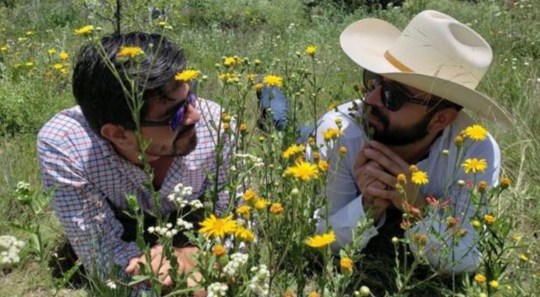 La novia lo dejó, le canceló una sesión de fotos que había pagado y decidió hacerla con un amigo | Redes