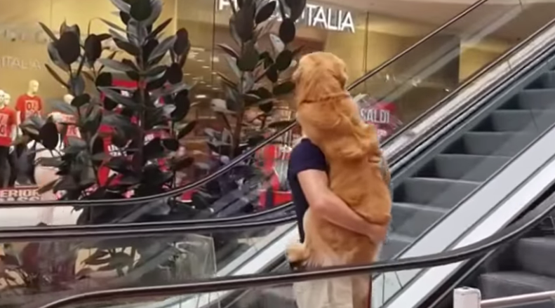 Video súper tierno:  un hombre alzó a upa a su perro porque le daba miedo subir la escalera mecánica | Redes