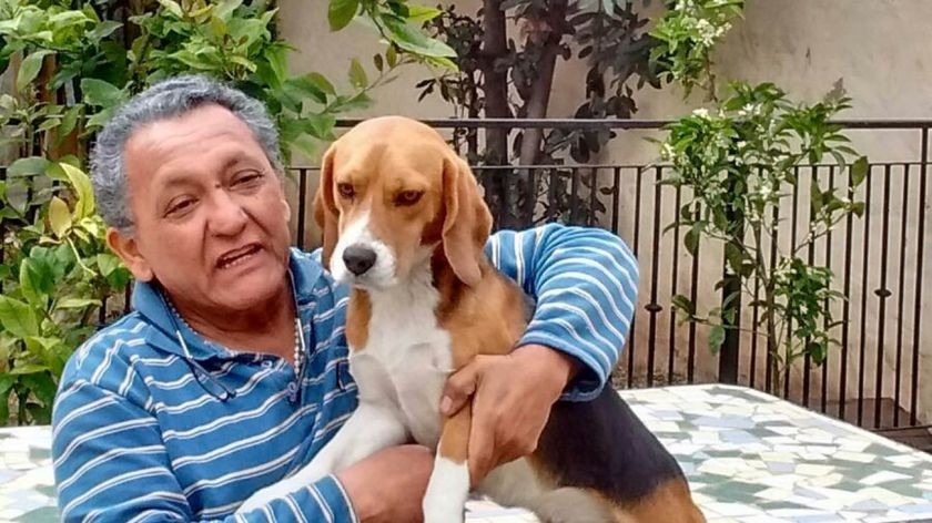 Los cuadernos de la corrupción: incorporan al chofer Centeno al Sistema de Protección de Testigos | Política