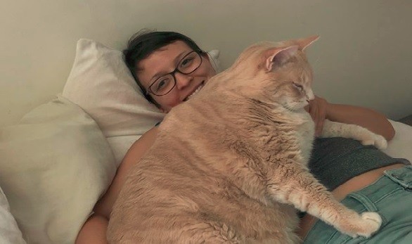 La historia de Bronson: el gato gordo que que hace dieta para bajar de peso | Redes