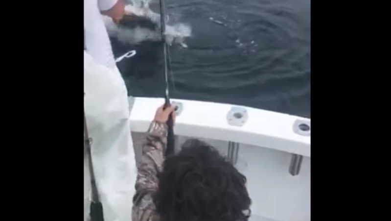 Video: un nene fue a pescar con su papá y se encontró frente a frente con un tiburón blanco | Redes