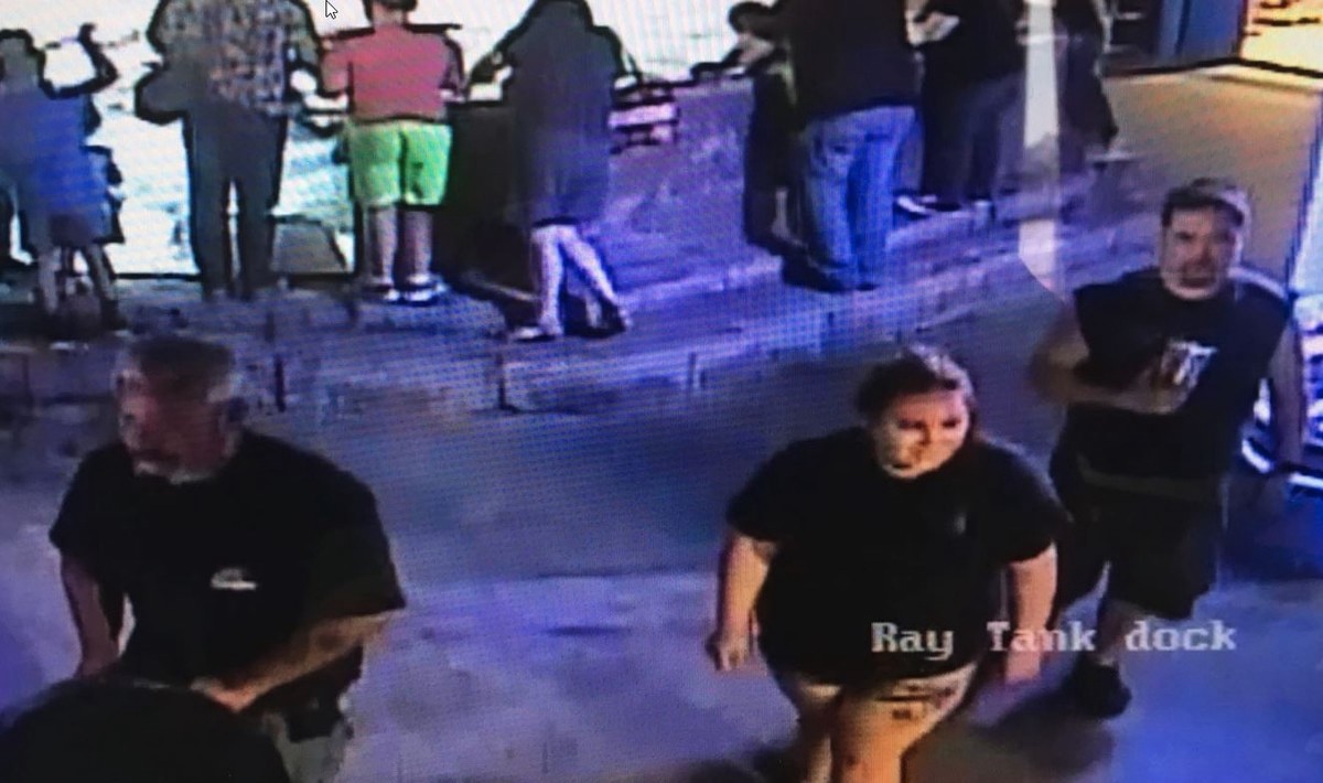 Robo insólito: se llevaron una cría de tiburón dentro de un cochecito de bebé | Curiosidades