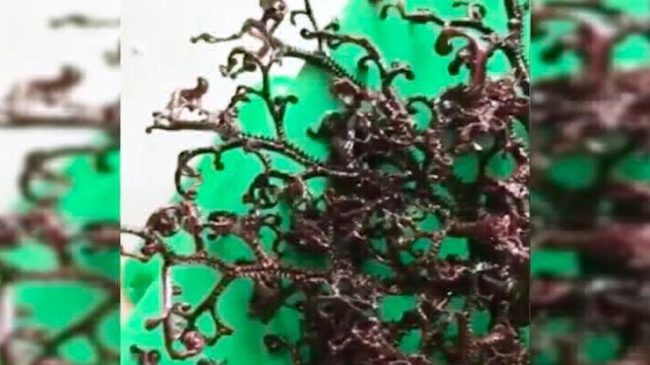 Video escalofriante: la extraña criatura marina hallada en Vietnam | Curiosidades