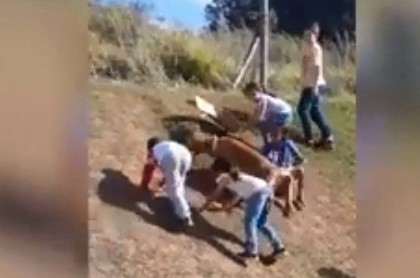 Video viral: el perro que juega como si fuera un nene más | Redes