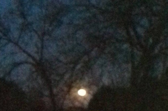 Misterio: la foto que conmueve a vecinos de Rosario de Lerma | Redes