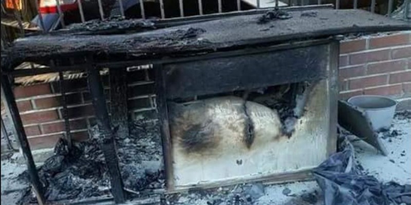 Denunciaron maltrato animal en Chile: un hombre incendió el lugar en el que dormían dos perros | Redes