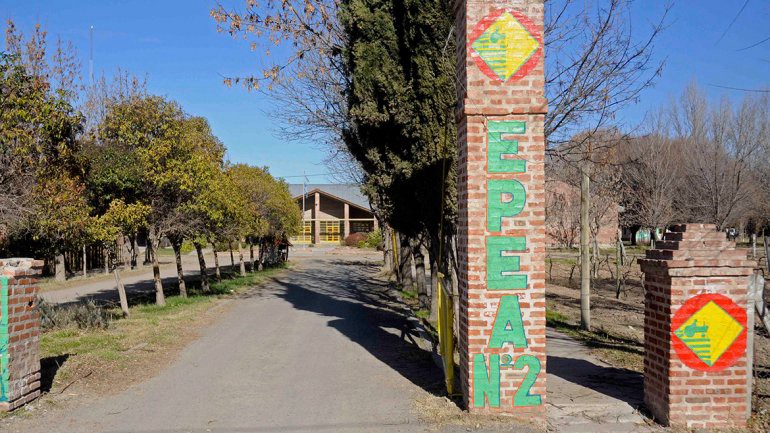 Neuquén: una adolescente denunció que fue violada por un compañero en una fiesta | Actualidad