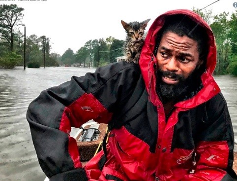 La furia del huracán Florence: la foto viral del hombre que es rescatado junto a su gatito | Internacionales