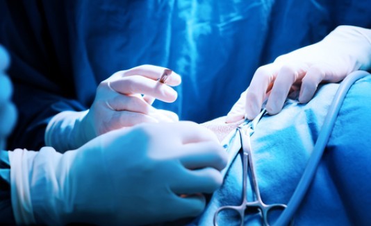 Encontraron un gusano vivo de 10 centímetros de largo en el cerebro de un joven | Redes