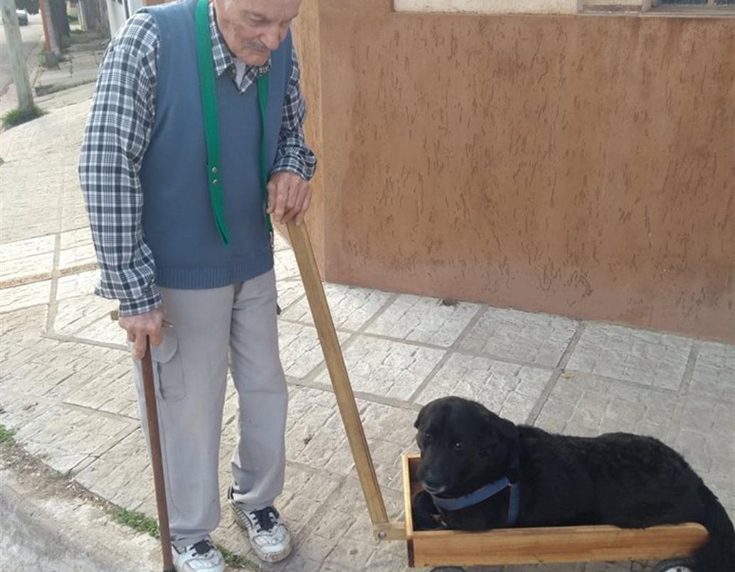 El tierno gesto de un jubilado con su fiel amigo que ya no camina | Redes