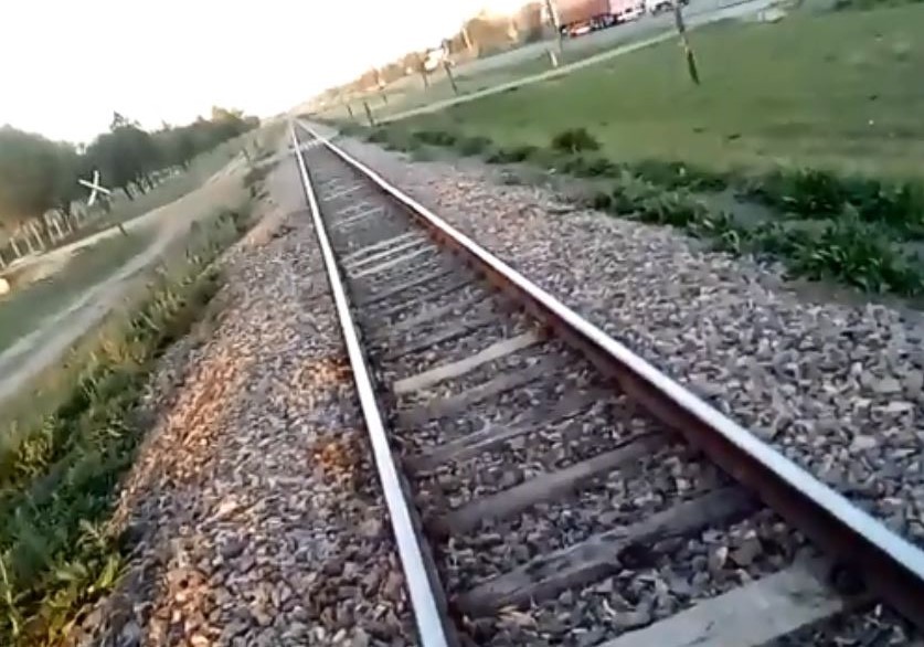 Maldad sin límites: ataron a un perro a las vías y un tren lo atropelló | Redes