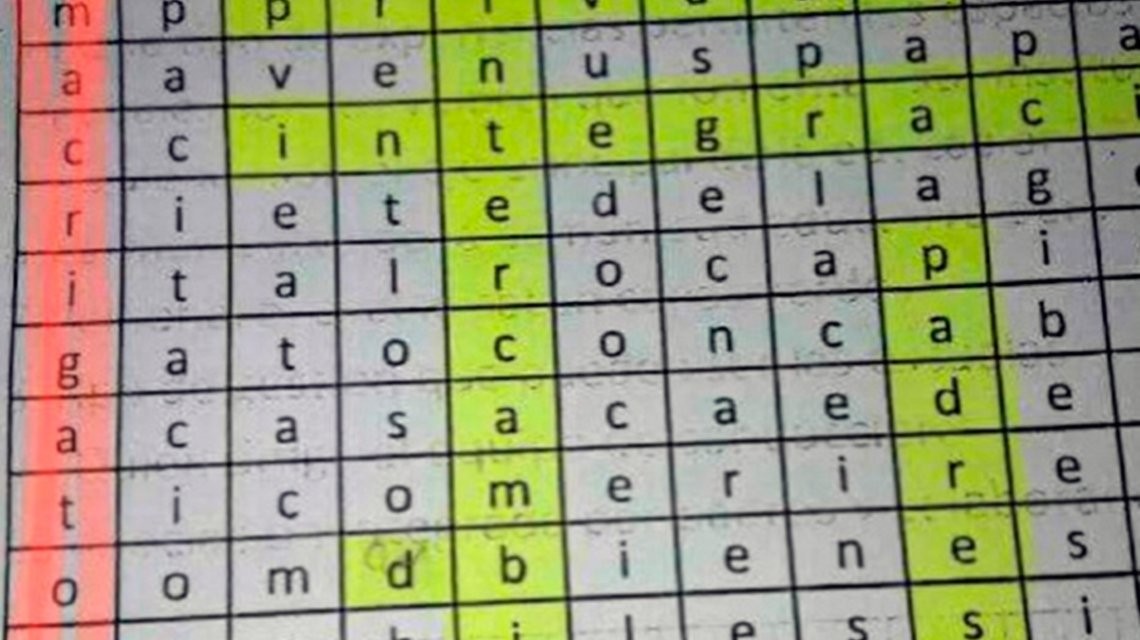 Polémica por un profesor que dio a sus alumnos un crucigrama que dice "Macri gato" | Actualidad