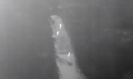 Video: encontraron a la víctima de una violación gracias a la  cámara infrarroja de un drone | Internacionales